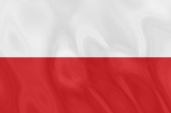 https://coredoadvisory.space/wp-content/uploads/2025/06/polsha.jpg
