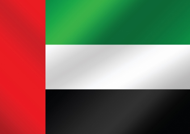 https://coredoadvisory.space/wp-content/uploads/2025/06/the-united-arab-emirates-flag-themes-1588673796kap.jpg
